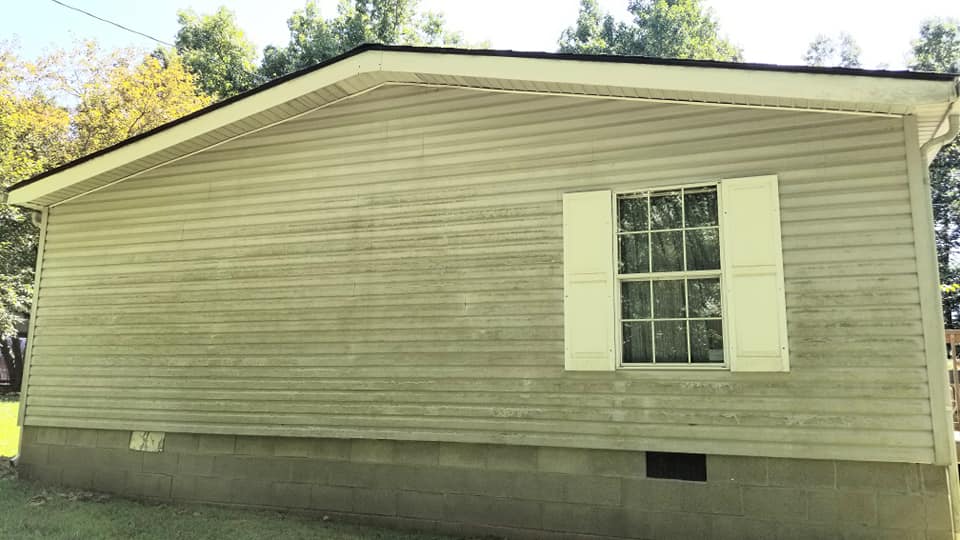 Before House Washing