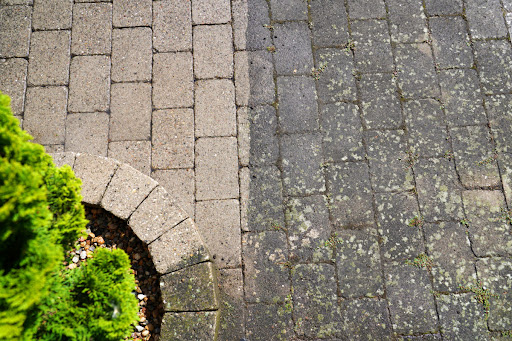 A close-up of pavers near a small green shrub.